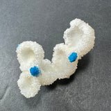White Stilbite crystal clusters with two vivid blue Cavansite balls embedded on a dark gray surface, showcasing contrast in texture and color.
