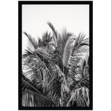 Black and white framed print of tall palm tree leaves densely overlapping against a clear sky background.