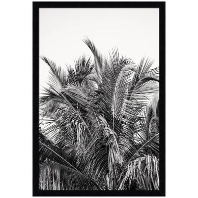 No 13 by Alicia Bock Framed Wall Art Print