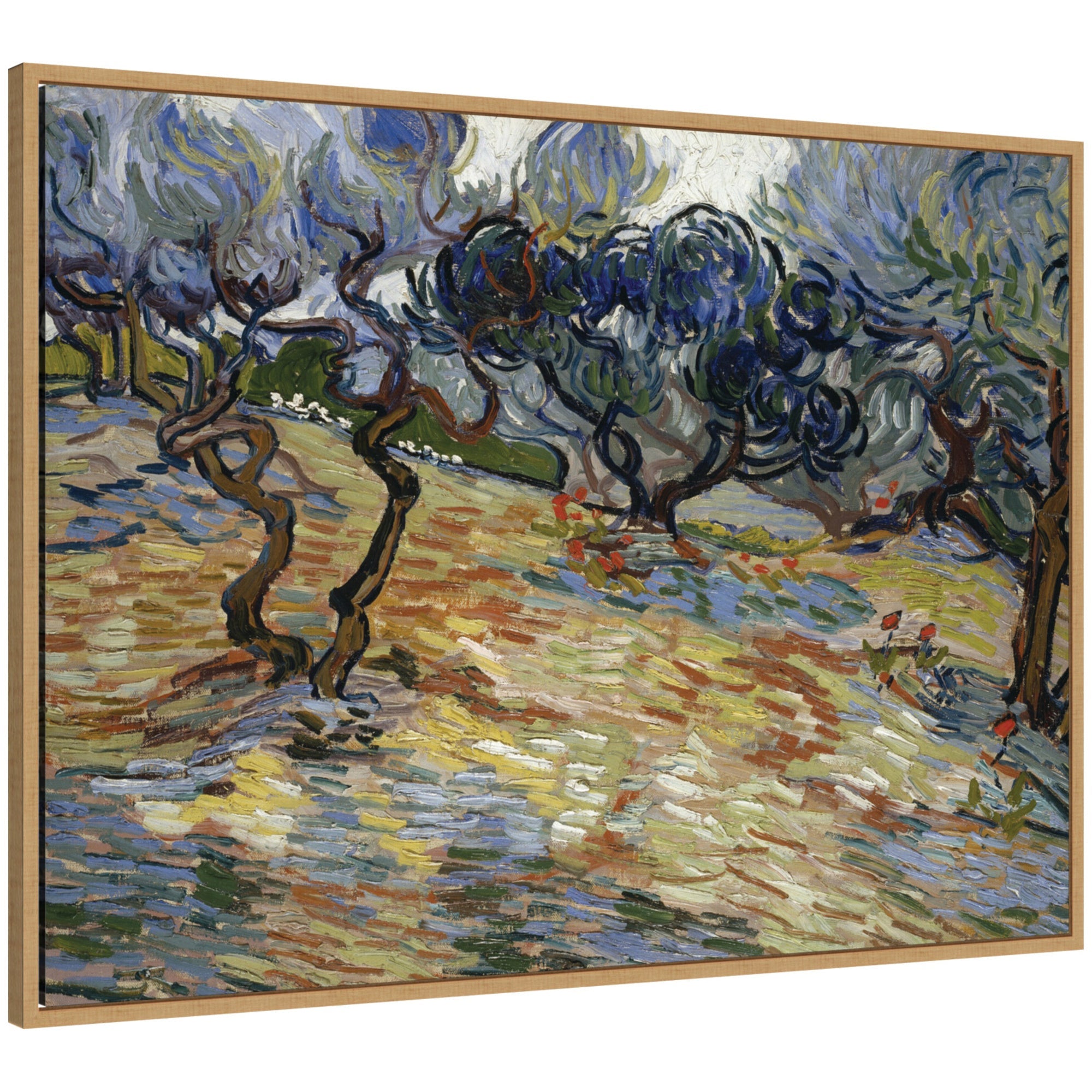 Framed canvas wall art print of Olive Trees by Vincent van Gogh in Sylvie frame