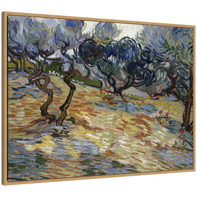 Framed canvas wall art print of Olive Trees by Vincent van Gogh in Sylvie frame