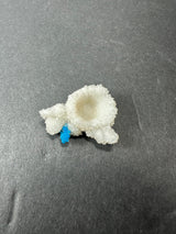 Small cluster of white, flower-like stilbite crystals with a bright blue cavansite ball attached, displayed on a dark gray background.