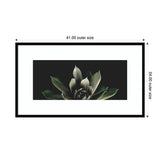 Framed wall art print featuring a close-up of a succulent with dark green leaves against a black background, surrounded by a wide white mat and a thin black frame