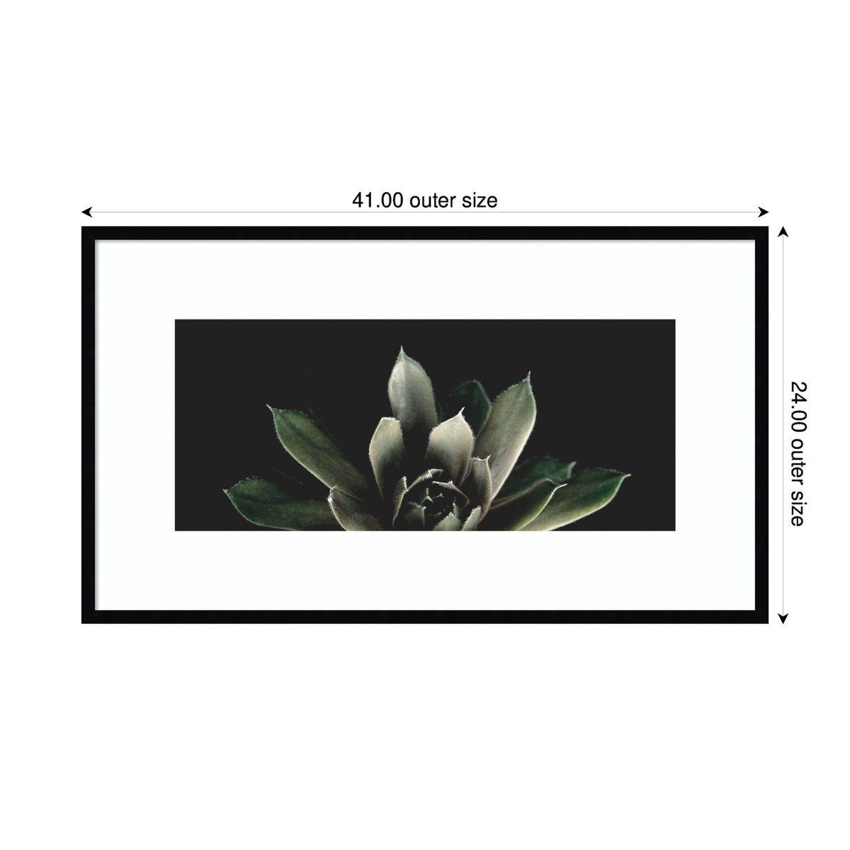 Framed wall art print featuring a close-up of a succulent with dark green leaves against a black background, surrounded by a wide white mat and a thin black frame