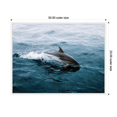 Sylvie Dolphin Skipping along in the Ocean Framed Canvas by Michael Schauer