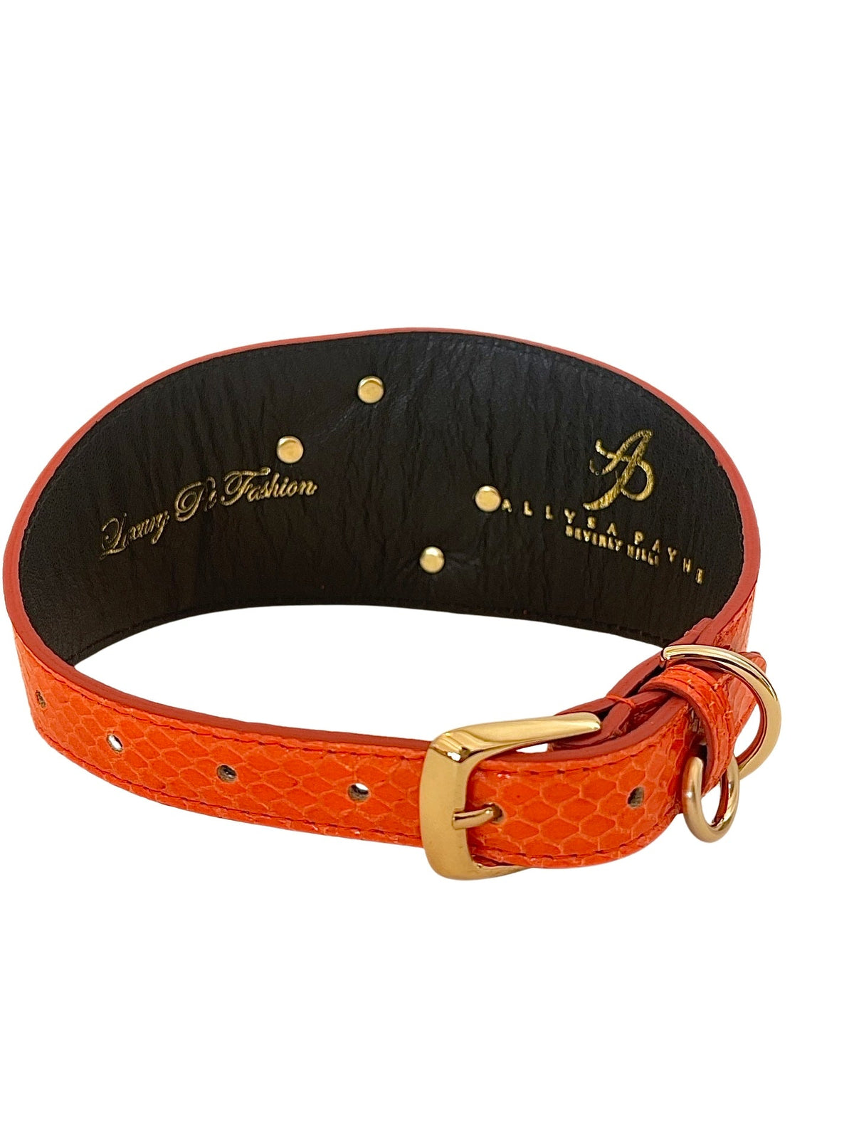 Orange textured snake skin pattern dog collar with gold buckle and rivets, black inner lining with gold embossed brand logos inside.