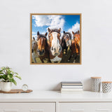 Close-up of five horses standing side by side with a blue sky and fluffy clouds background, framed in a wooden square frame hanging on a white wall.