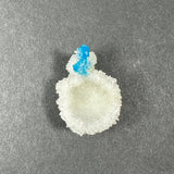 Small white stilbite crystal cluster with bright blue cavansite balls on top, displayed on a gray textured background, highlighting the contrast in crystal colors.