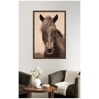 Equine Horse by Robert Cadloff Framed Wall Art Print