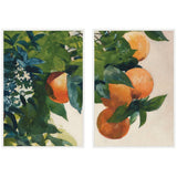 Two-piece framed canvas wall art set showing oranges on a branch with white Sylvie frames