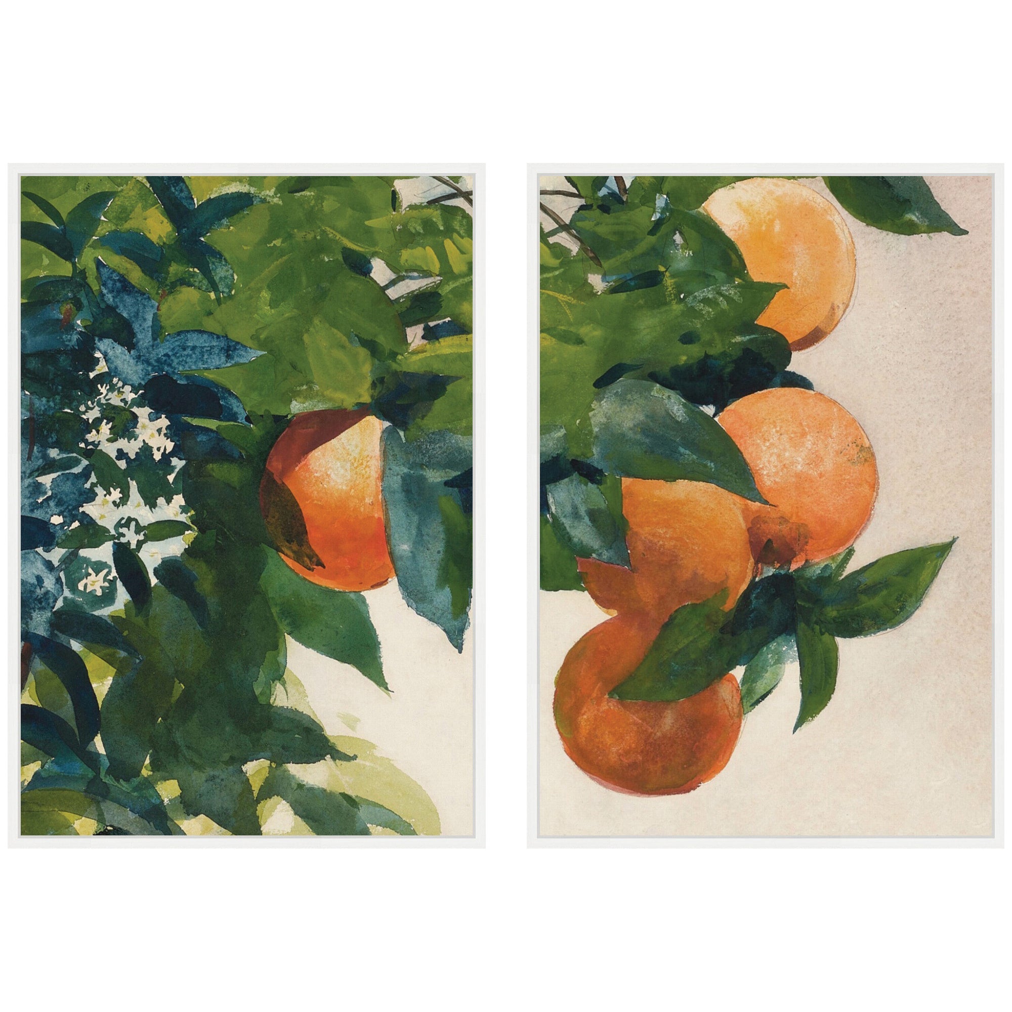 Two-piece framed canvas wall art set showing oranges on a branch with white Sylvie frames