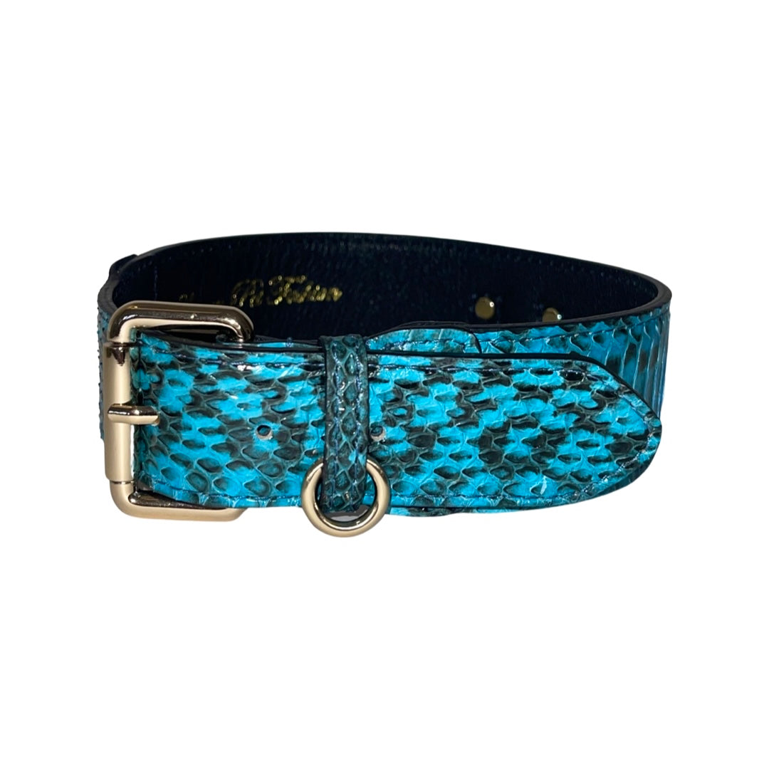 Turquoise and black snake pattern dog collar with gold hardware lying on a white fabric background
