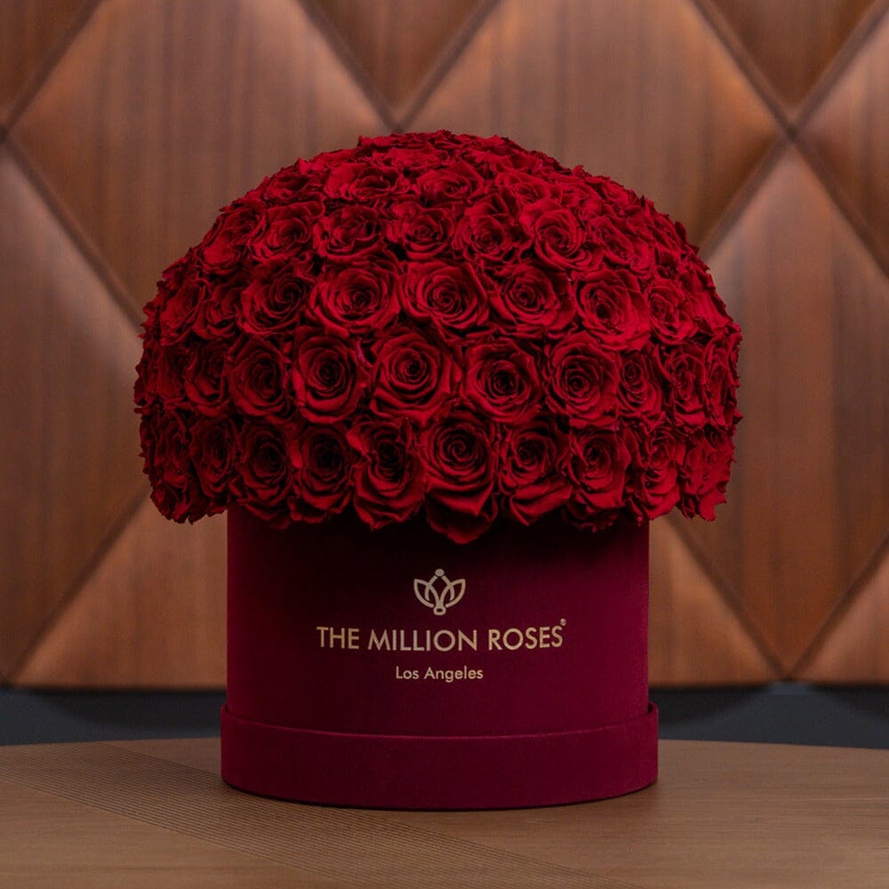 Supreme Bordeaux Suede Superdome Box by The Million Roses - product image 7 for Resin Society