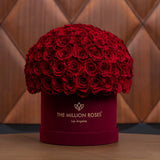 Supreme Bordeaux Suede Superdome Box by The Million Roses - product image 7 for Resin Society