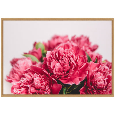 Sylvie Stunning Bright Pink Flowers Framed Canvas by Patricia Hasz