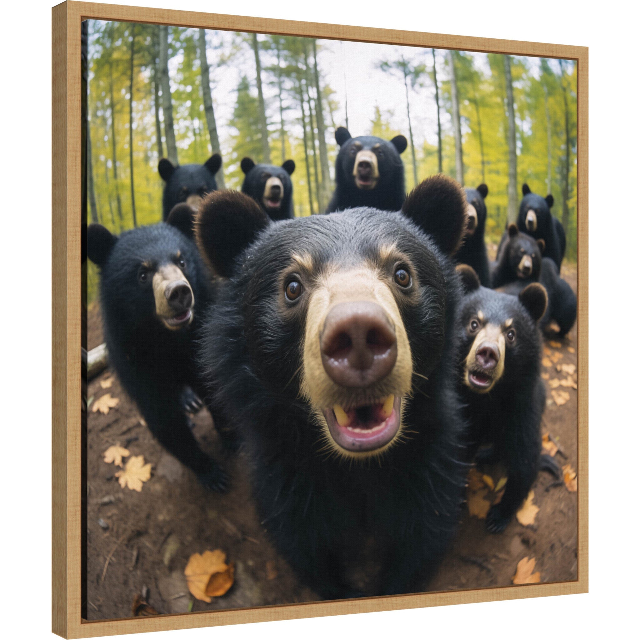 Framed canvas artwork featuring a humorous black bear taking a selfie