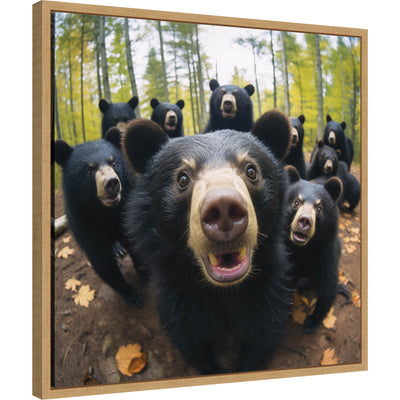 Framed canvas artwork featuring a humorous black bear taking a selfie