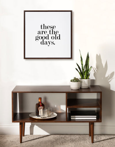 Sylvie Good Old Days Framed Canvas by kateandlaurel - product image 15 for Resin Society