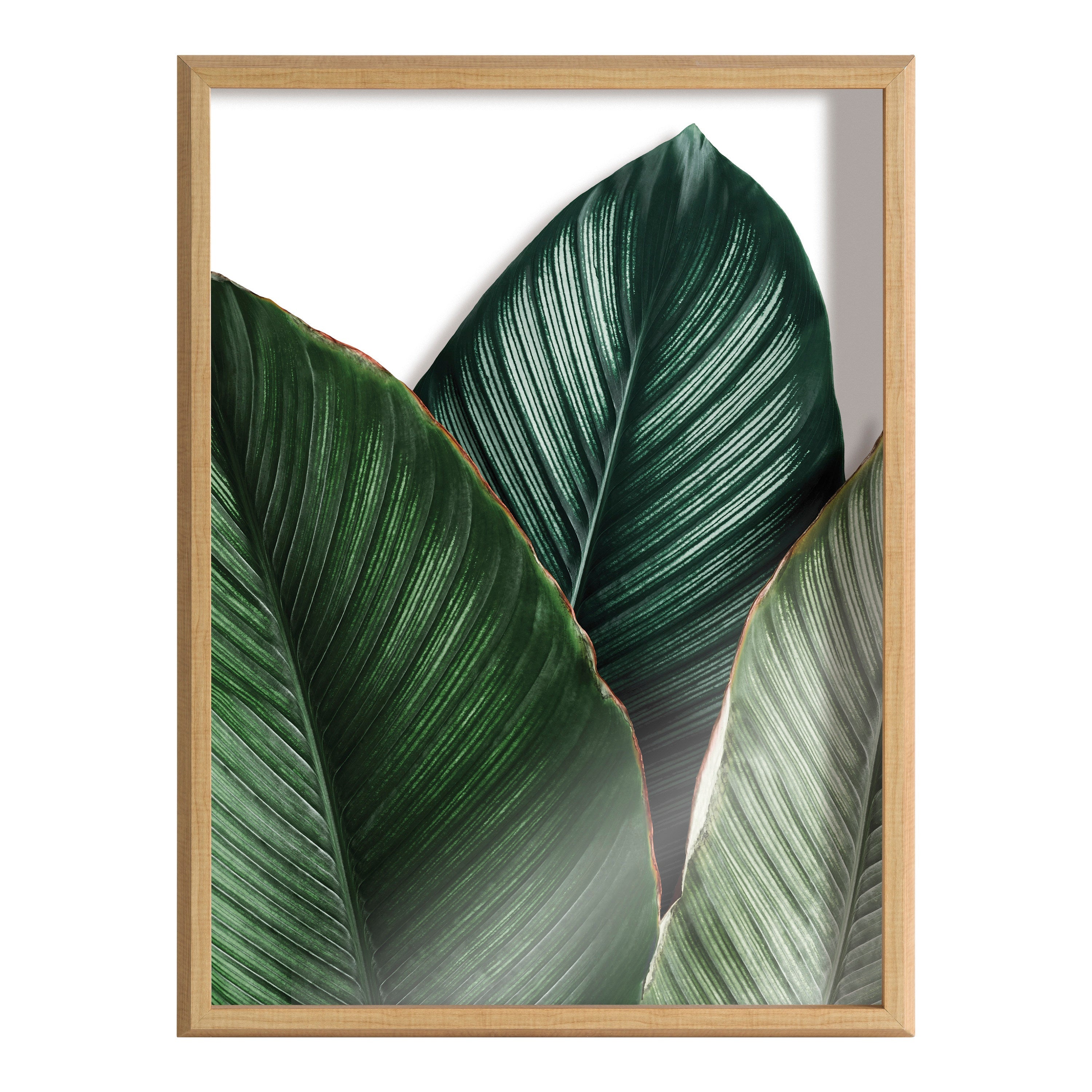 Blake Tropical Palm Leaves Framed Printed Glass by kateandlaurel - product image 2 for Resin Society