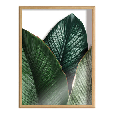 Blake Tropical Palm Leaves Framed Printed Glass by kateandlaurel - product image 2 for Resin Society