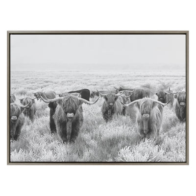 Sylvie Herd of Highland Cows Black and White Framed Canvas by The