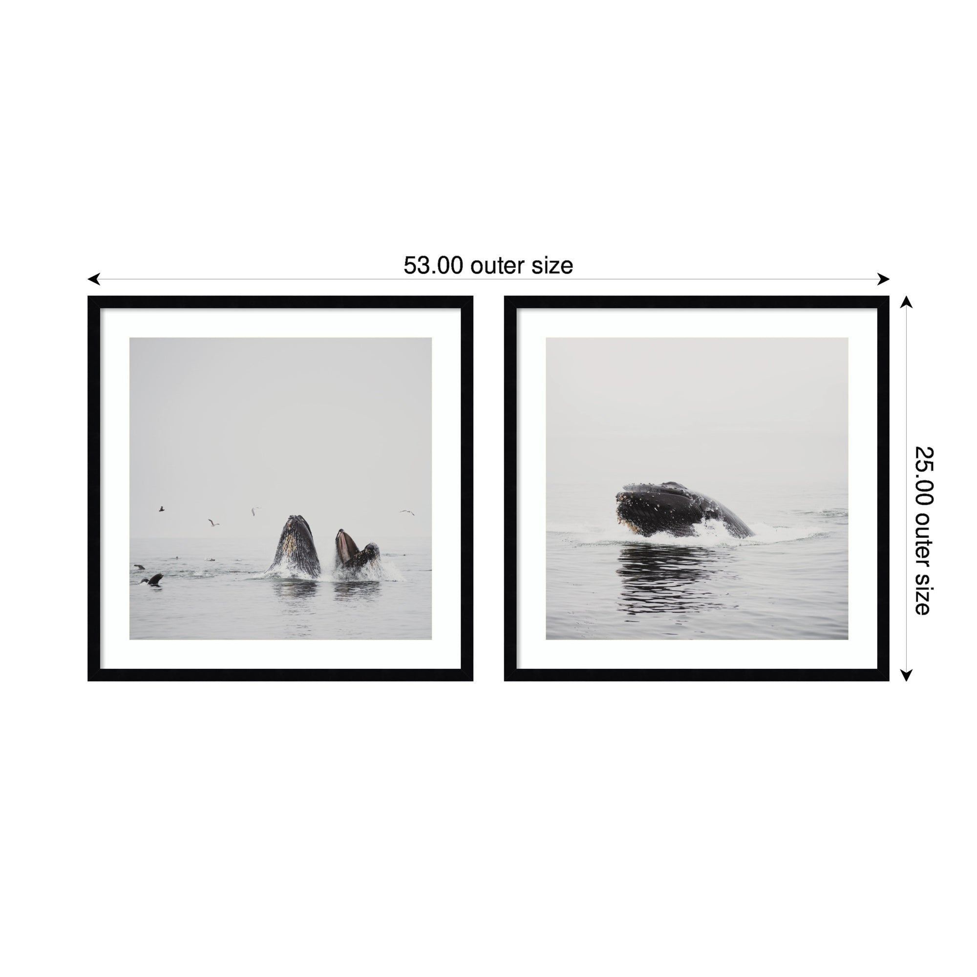 Humpback Whale 2 Piece Framed Wall Art Print Set by Laura Evans