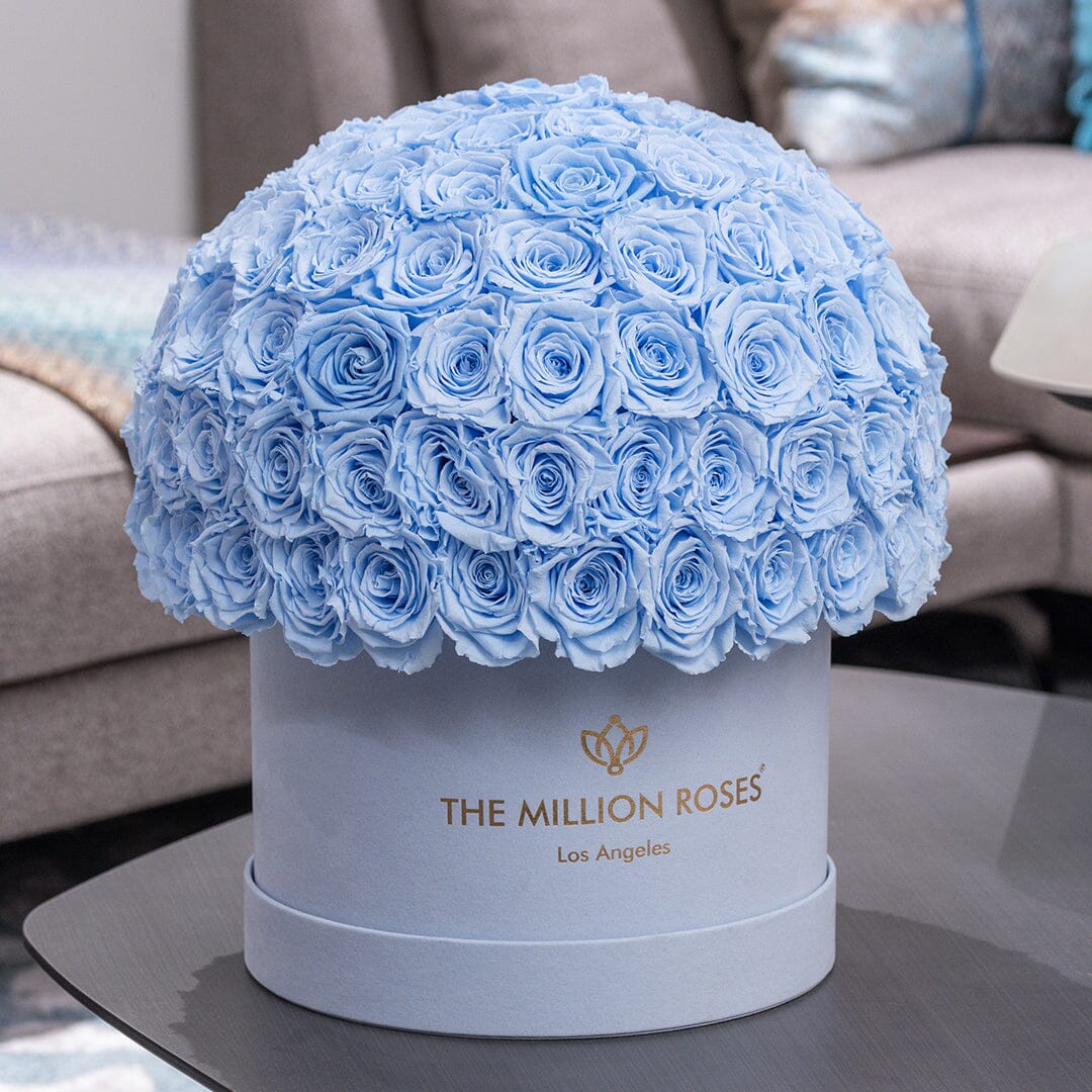 Supreme Light Blue Suede Superdome Box by The Million Roses - product image 5 for Resin Society