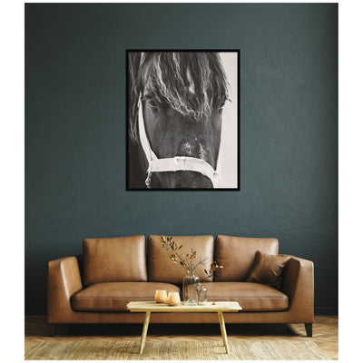 Black Horse by Emiko and Mark Franzen F2 Images Framed Wall Art Print