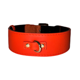 Bright orange classic-style collar with black inner lining, featuring a silver D-ring attached by orange leather straps with two silver rivets.