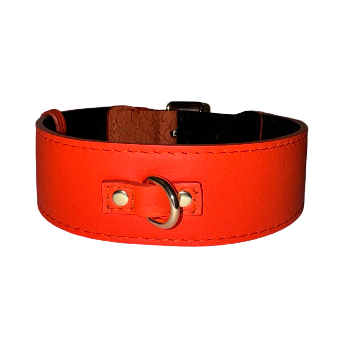 Bright orange classic-style collar with black inner lining, featuring a silver D-ring attached by orange leather straps with two silver rivets.