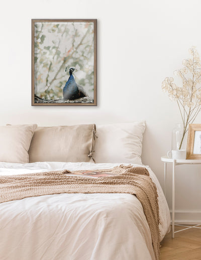 Blake Peacock Framed Printed Glass by Alicia Abla by kateandlaurel - product image 7 for Resin Society