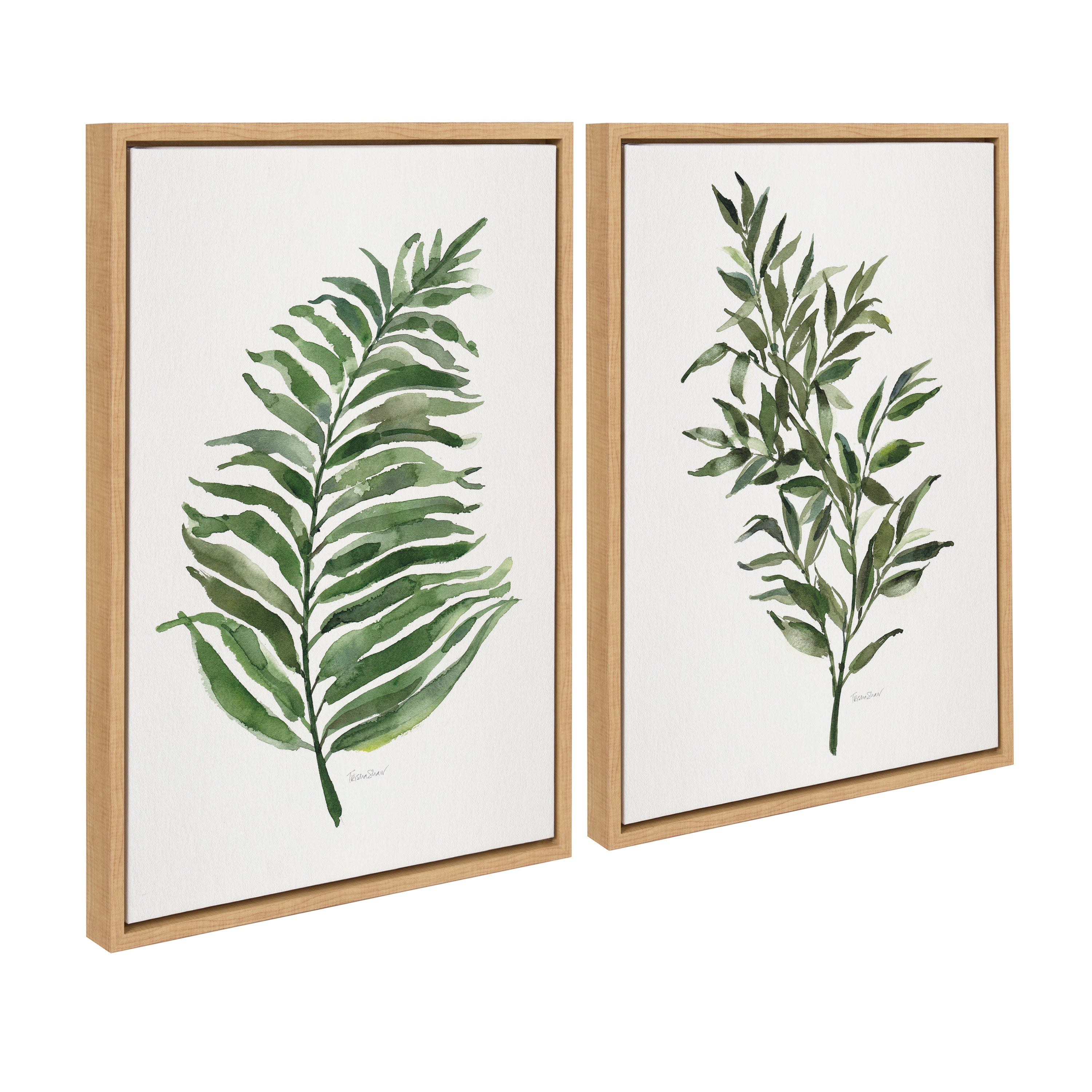 Sylvie Green Fern and Ruscus Framed Canvas Art Set by Patricia Shaw