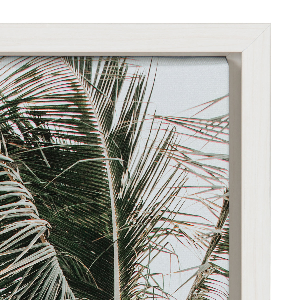 Sylvie Palm Trees Framed Canvas by Alicia Abla by kateandlaurel - product image 3 for Resin Society