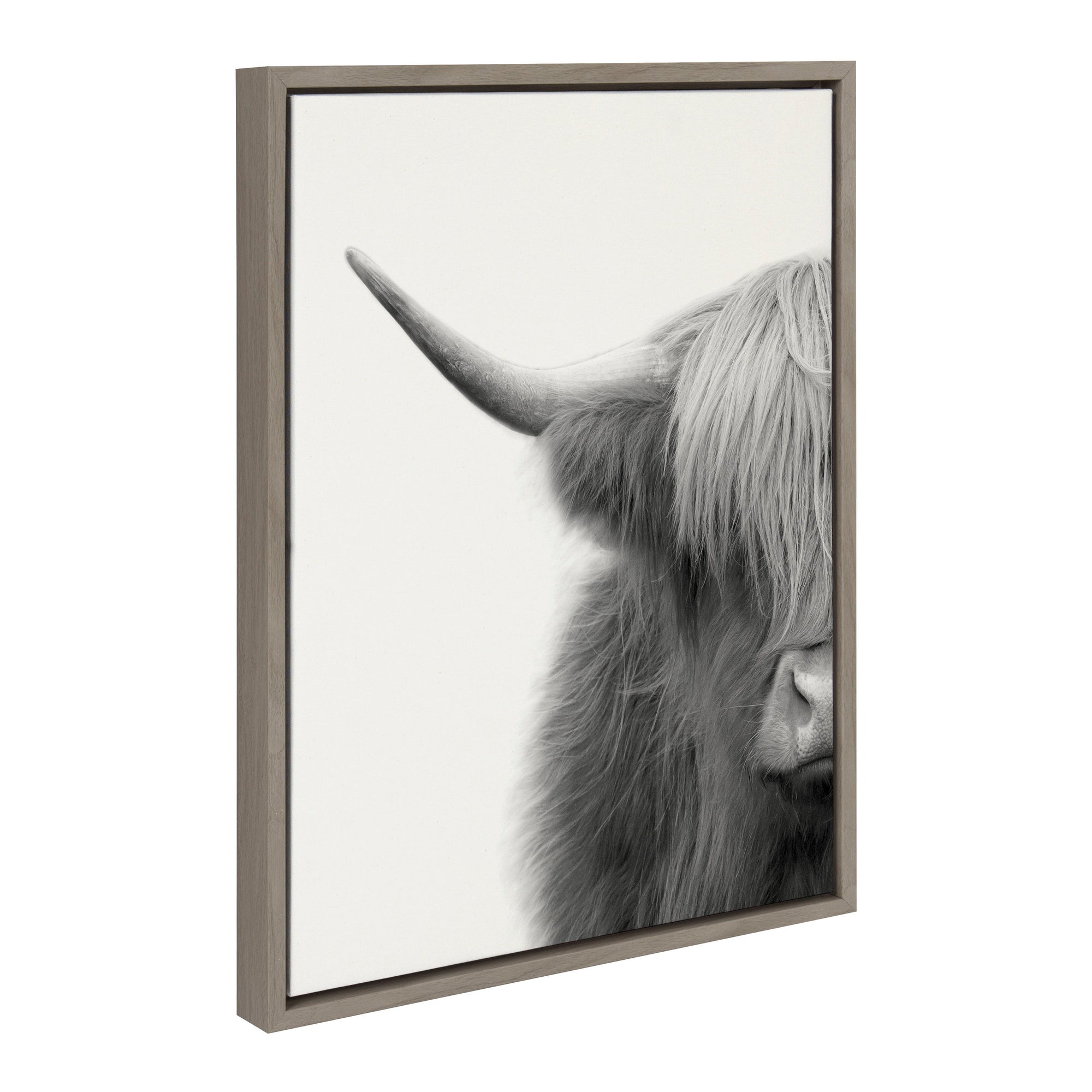 Sylvie Hey Dude Highland Cow Crop Framed Canvas by The Creative Bunch by kateandlaurel - main product image for Resin Society