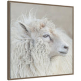 Close-up side profile of a white sheep with thick, curly wool and a soft, calm expression against a blurred light background