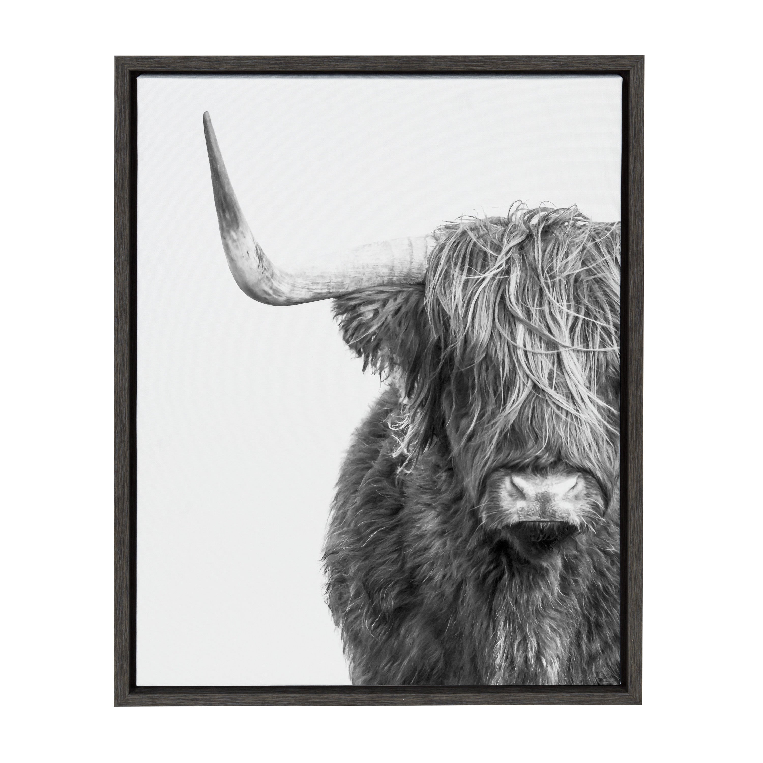 Sylvie Highland Cow Framed Canvas by kateandlaurel - product image 13 for Resin Society