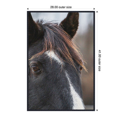 Black and White Horse by Emiko and Mark Franzen F2 Images Framed Canvas Wall Art Print