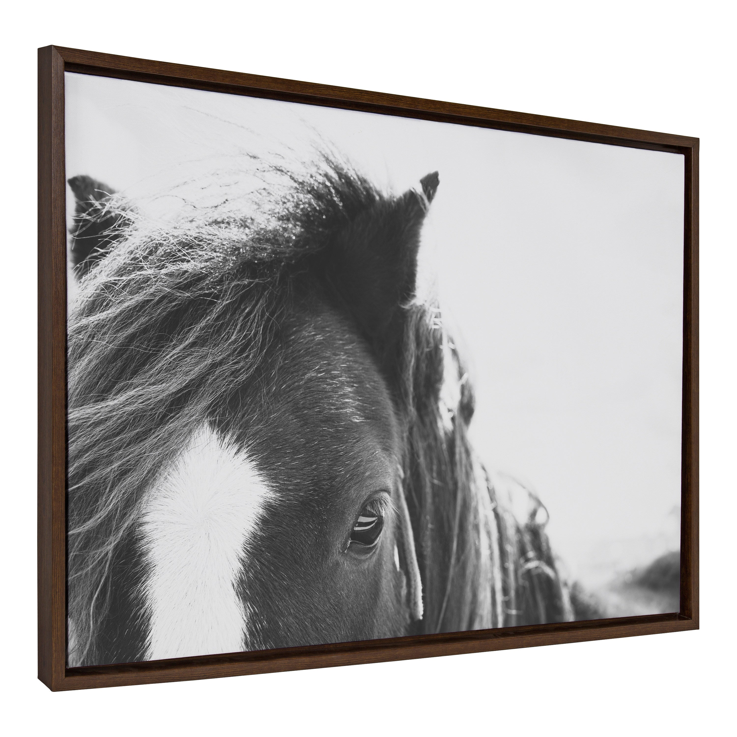 Sylvie Noble BW Framed Canvas by kateandlaurel - product image 20 for Resin Society