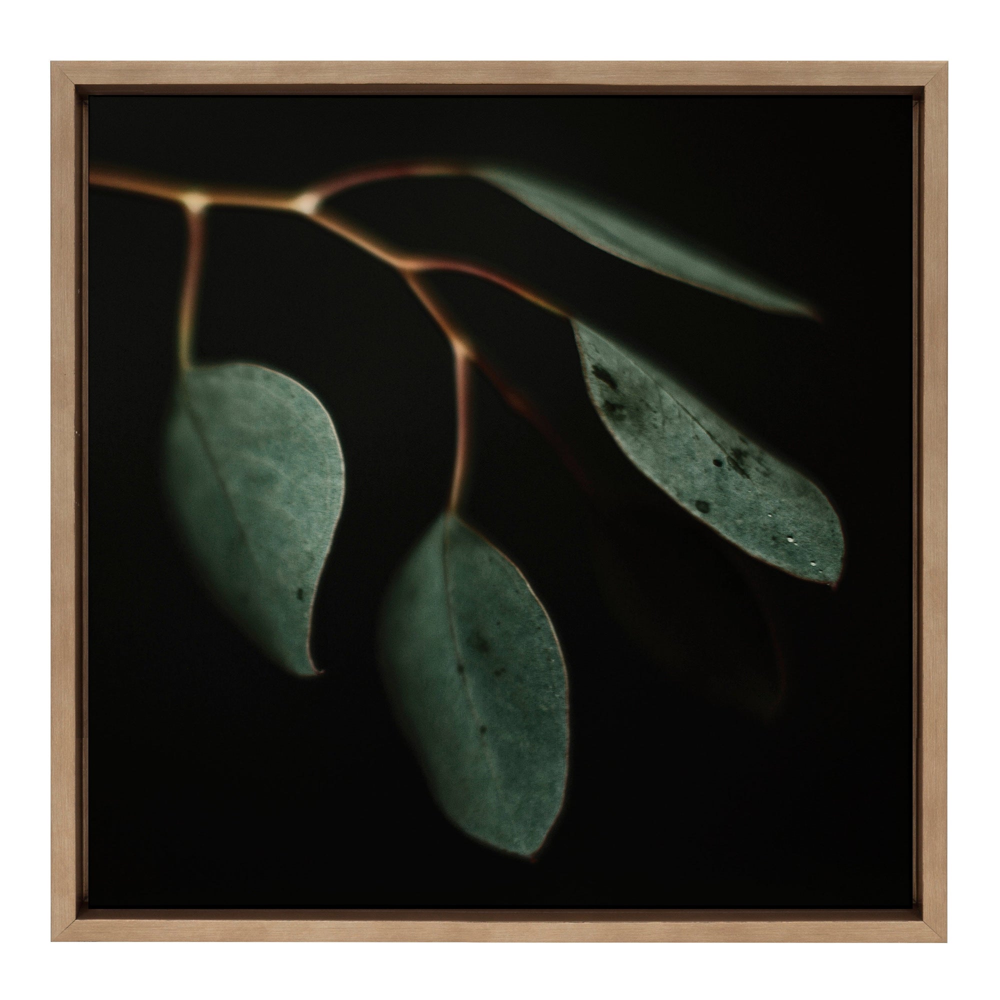 Sylvie Eucalyptus Leaves Framed Canvas by Alicia Abla by kateandlaurel - main product image for Resin Society
