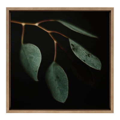 Sylvie Eucalyptus Leaves Framed Canvas by Alicia Abla by kateandlaurel - main product image for Resin Society