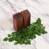 Salt & Pepper Shakers on an Acacia Wood Base by Kalmar Home - product image 5 for Resin Society