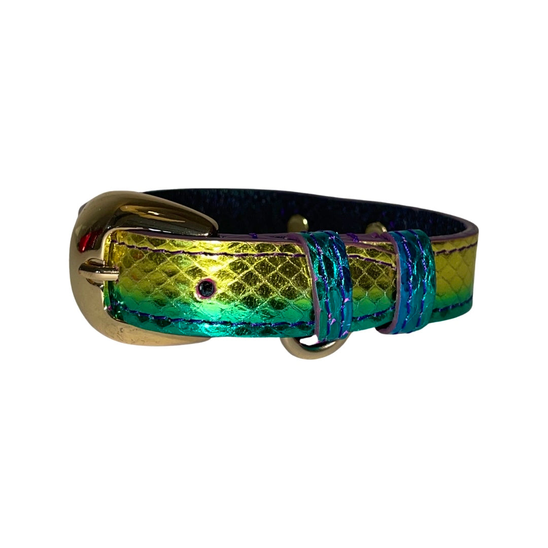 XS/S 7”-14” Yellow/Green/Red Custom Snake Collar/Custom Gold Italian by Allysa Payne Beverly Hills - main product image for Resin Society