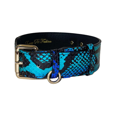 Electric Turquoise Blue and Black Snake Classic Dog Collar with Gold Hardware