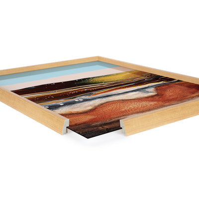 Blake Sonoran Desert Framed Printed Art by Xizhou Xie