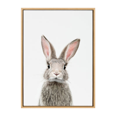 Sylvie Young Rabbit Framed Canvas by Amy Peterson Art Studio