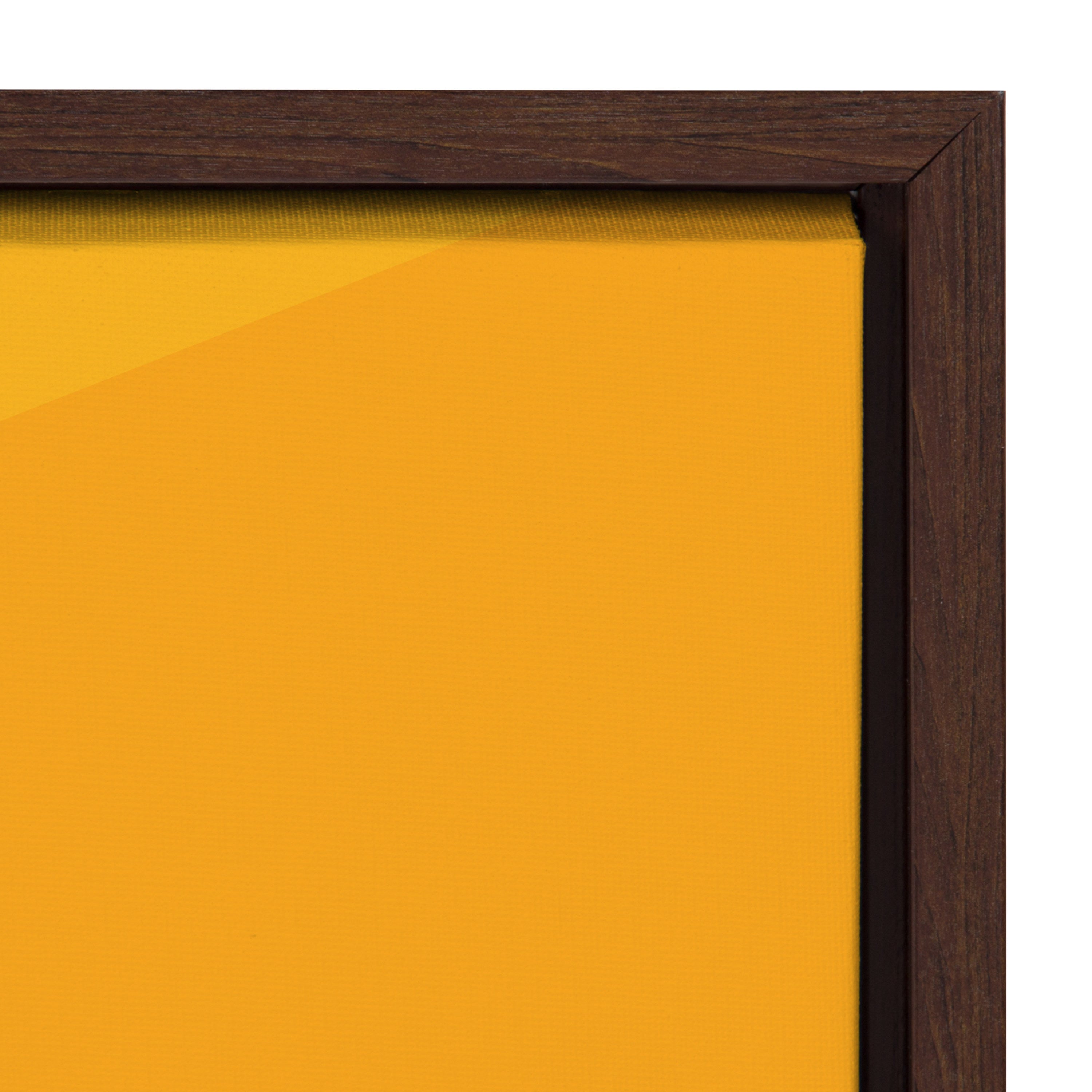 Sylvie Mt Rainier Framed Canvas by kateandlaurel - product image 20 for Resin Society