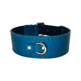 Dark turquoise snake-patterned dog collar with smooth texture and classic gold D-ring hardware, shown against a white background.