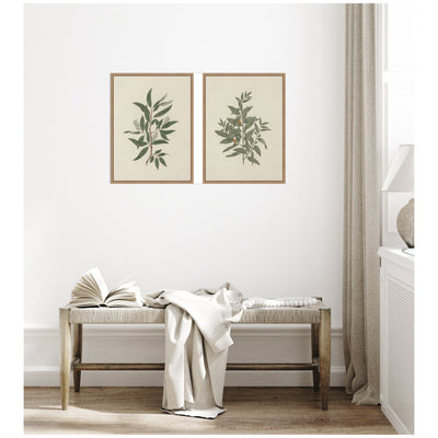 Salix subserrata Willd Willow & Osyris Lanceolate African Sandalwood 2 Piece Framed Canvas Wall Art Set by Nostalgia Prints