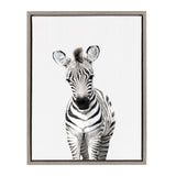 Sylvie Baby Zebra Framed Canvas by Amy Peterson