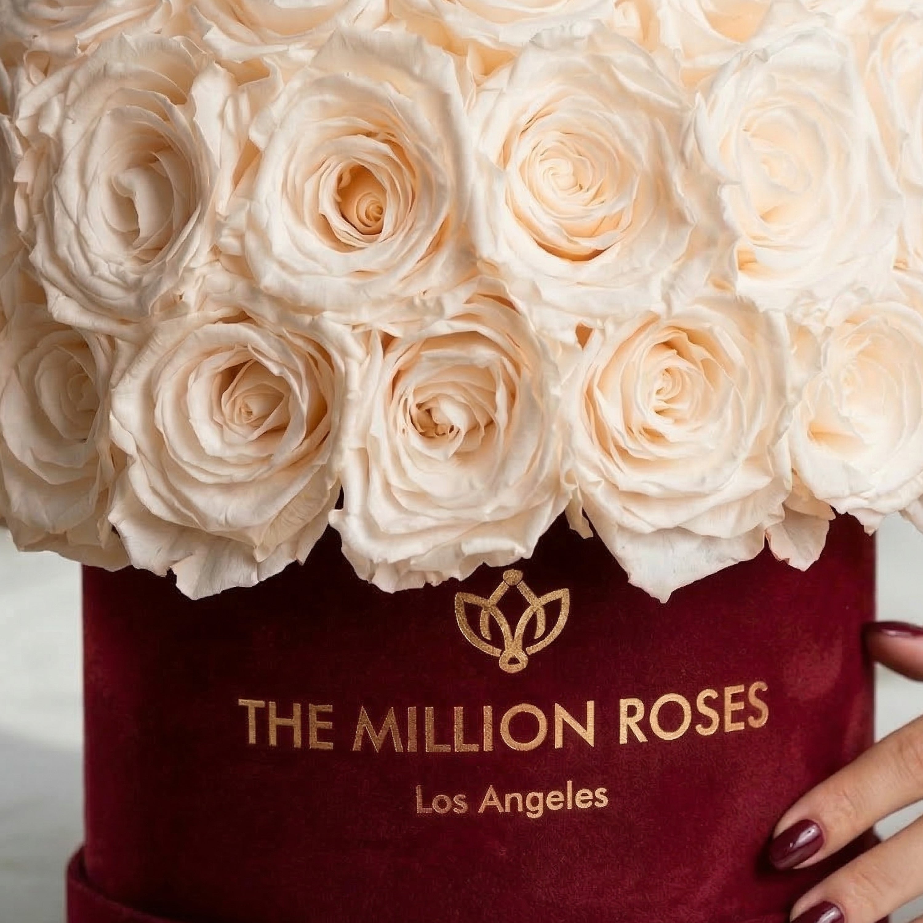 Classic Bordeaux Suede Superdome Box by The Million Roses - product image 3 for Resin Society